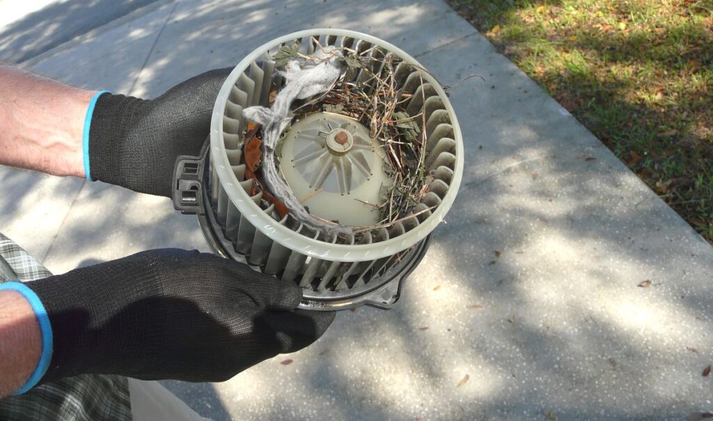 ac blower motor dirty gloves holding